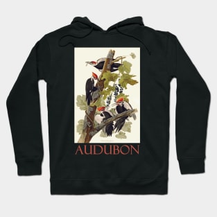 Pileated Woodpecker by John James Audubon Hoodie